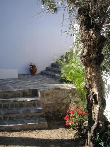 in Marvão Casa da Silveirinha की गैलरी इमेज