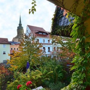 En trädgård utanför Haus Buchheim - Pension am Schloss