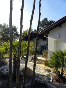 ein Haus mit Palmen davor in der Unterkunft Villa Mogador Piscine et Balnéo in Andernos-les-Bains