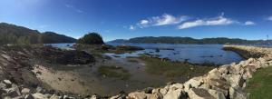 uma grande massa de água com uma costa rochosa em Résidence Touristique Les Bouleaux em Petit-Saguenay