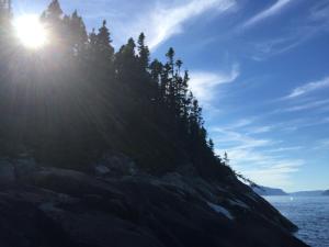 um grupo de árvores numa colina junto à água em Résidence Touristique Les Bouleaux em Petit-Saguenay