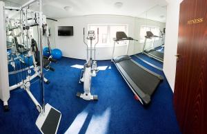 Hotel & Apartments U Černého orla tesisinde fitness merkezi ve/veya fitness olanakları