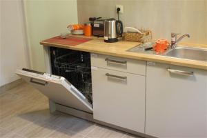 a kitchen with a sink and a dishwasher at Willa Widok - Apartament Naleczow in Nałęczów