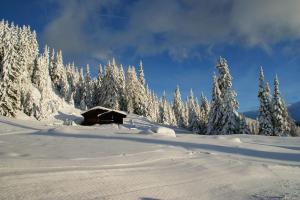 Gasthaus Furlhütte взимку