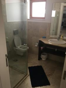 ein Bad mit einem WC, einem Waschbecken und einer Dusche in der Unterkunft Apartment in Jebel Sifah in As Sīfah