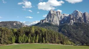 una catena montuosa con un campo verde e alberi di Parlunkhof a Castelrotto