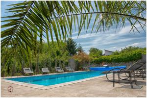 a swimming pool with chairs and a palm tree at Pensiunea Nora Prestige in Timişoara