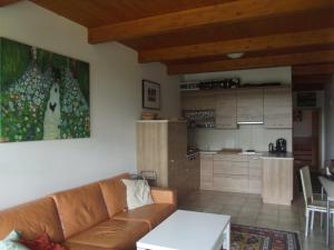 ein Wohnzimmer mit einem Sofa und einer Küche in der Unterkunft Apartmán Lipno A12 in Lipno nad Vltavou