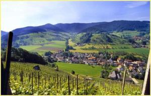 vista su un vigneto con un villaggio in lontananza di Haus Sonja a Glottertal