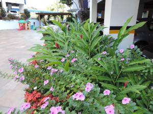 Jardín al aire libre en Flat Águas da Serra - com acesso ao rio