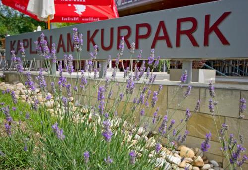 znak z fioletowymi kwiatami przed budynkiem w obiekcie Kaplan am Kurpark w mieście Bad Tatzmannsdorf