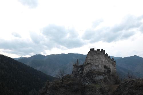 um edifício antigo no topo de uma montanha em Apartment Erekle em Borjomi