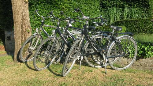 um grupo de bicicletas estacionadas ao lado de uma árvore em B&B 7T em Bruges