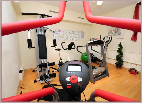 Fitness centar i/ili fitness sadržaji u objektu Sletz Parkhotel - Superior