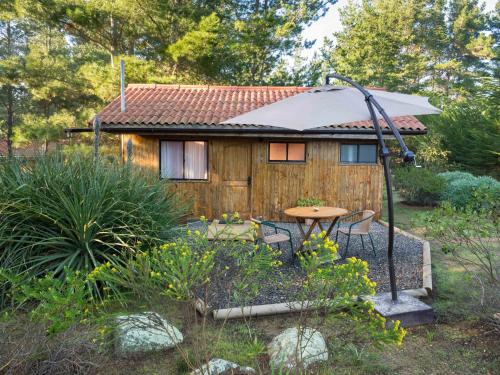 Κήπος έξω από το Eco Cabañas Algarrobo