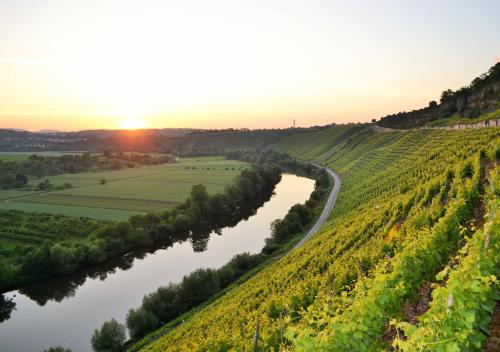 a river in the middle of a vineyard at sunset at Weinblick in Besigheim