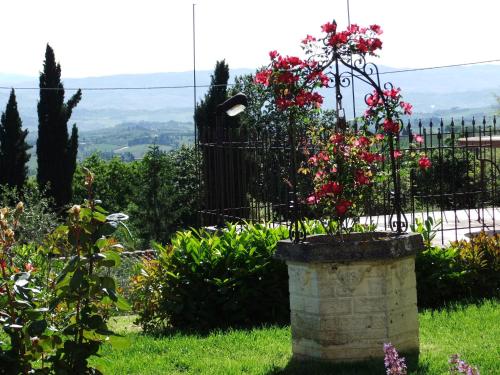 Taman di luar Agriturismo Il Castagnolino