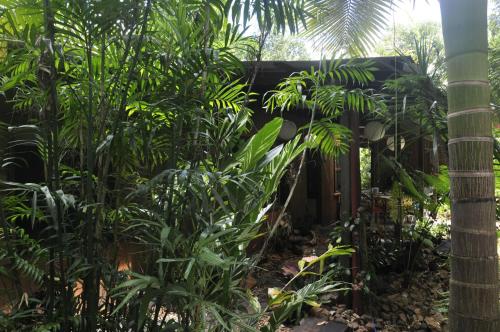 een huis midden in een bos met planten bij Tropical Bliss bed and breakfast in Mena Creek