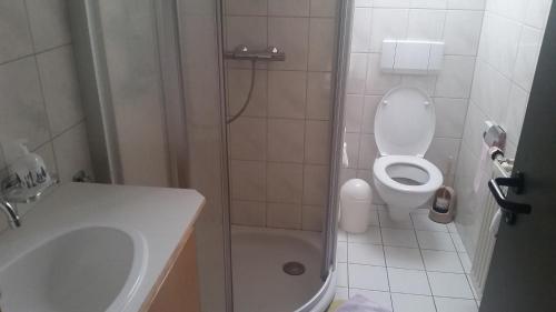 uma casa de banho com um lavatório, um WC e um chuveiro em Gite rural a Bivels em Bivels