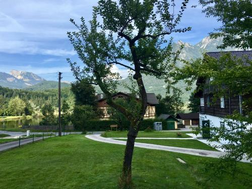 uma árvore no meio de um quintal com uma casa em Landhaus Hallstättersee em Bad Goisern