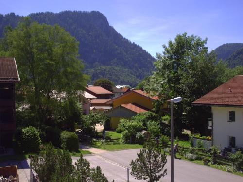 un pueblo con una montaña en el fondo en Alpina Inzell 223, en Inzell