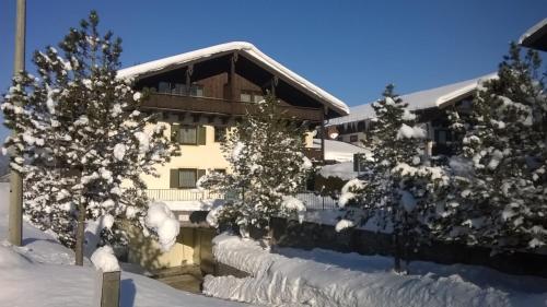 una casa cubierta de nieve con árboles delante en Alpina Inzell 223, en Inzell