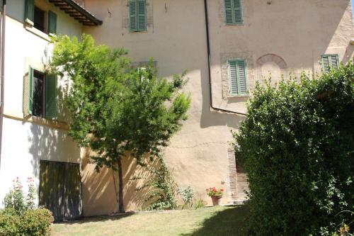 Jardí fora de Villa del Cardinale