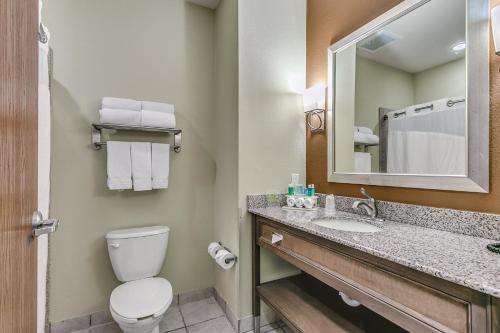 Un baño de Holiday Inn Express & Suites Lubbock Southwest – Wolfforth, an IHG Hotel