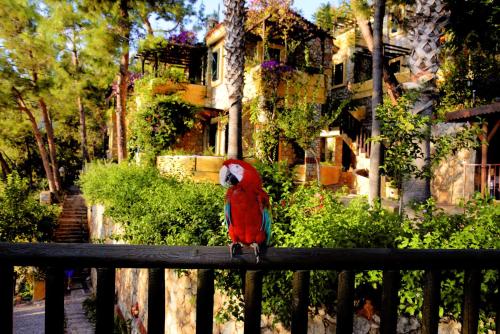 Taman di luar Symbola Oludeniz Beach Hotel