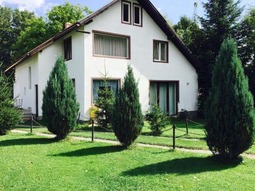 A garden outside Casa Codrin