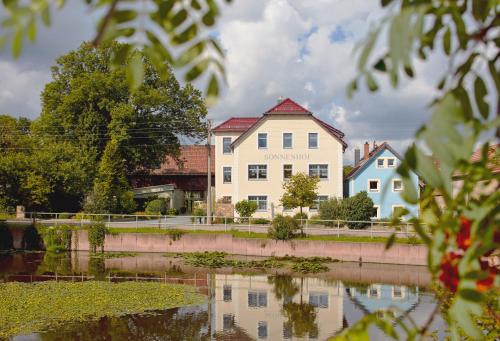 un edificio blanco junto a un cuerpo de agua en Hotel garni Sonnenhof, en Reichenberg