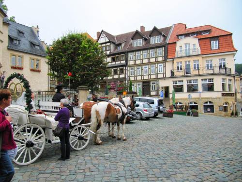 Tetamu yang menginap di Große Wohnung mit Terrasse im Altstadtzentrum - Ferienwohnung Chiplakoff