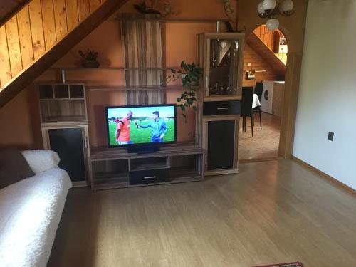 Televizors / izklaižu centrs naktsmītnē Apartment U Malše 12