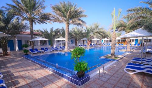 Hồ bơi trong/gần Fujairah Hotel & Resort