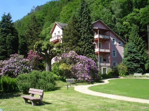 Natuurlandschap vlak bij het hotel