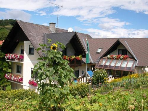 a house with flowers on the balconies of it at Gästehaus Anna in Unterlamm