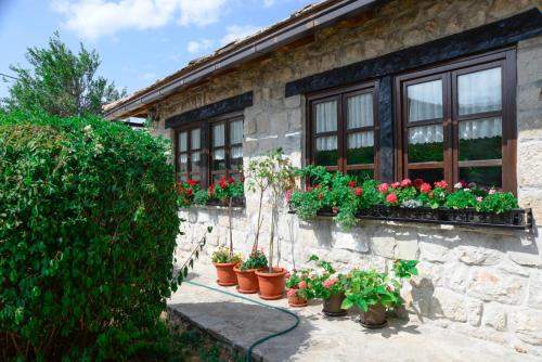 une maison avec des fleurs en pots sur son côté dans l'établissement Stara Hercegovina, à Trebinje