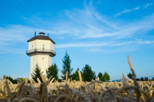 a lighthouse in the middle of a field at Art Tower in Vratimov