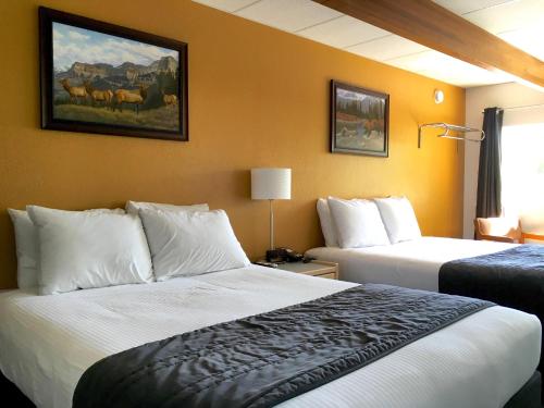 Cama ou camas em um quarto em City Center Motel