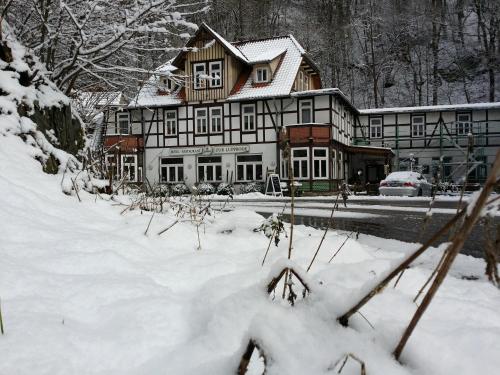 Gallery image of Hotel Zur Luppbode in Treseburg