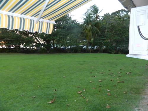 a green yard with a striped umbrella and a field of grass at Madiana plage in Schœlcher