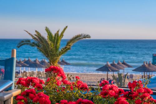 - une vue sur la plage avec des fleurs rouges et des parasols dans l'établissement WhiteSands Beach Resort, à Paralia Vrachou