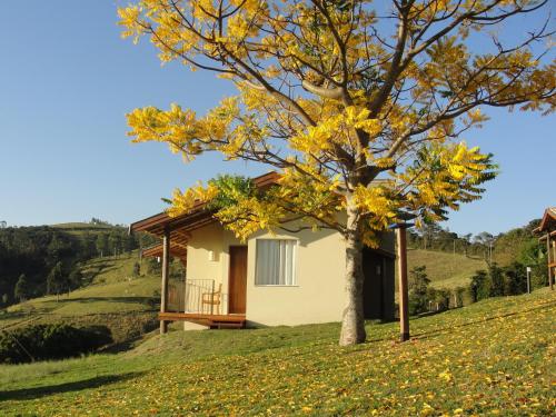 uma casa numa colina com uma árvore em Pousada Morro Verde em Águas de Lindóia