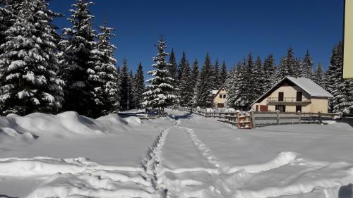 Το Snowhite Jahorina τον χειμώνα