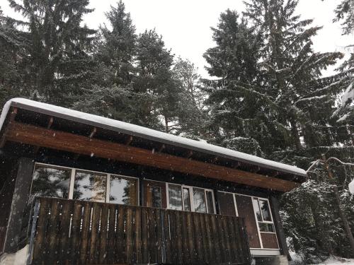 Galerija fotografija objekta Villa Borca di Cadore u gradu 'Borca di Cadore'