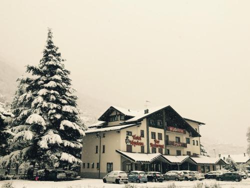 Hotel Napoleon žiemą