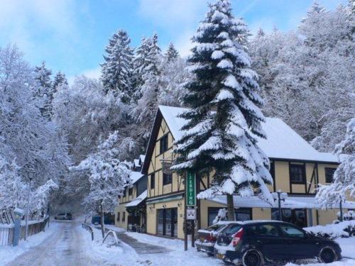 a snow covered tree in front of a building at Hotel Sieweburen in Luxembourg