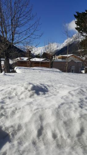 un cortile coperto da neve con alberi e una montagna di L'angolo di Sissi a Colle Isarco