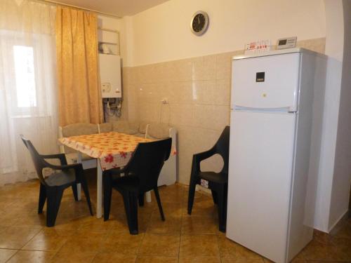 Virtuvė arba virtuvėlė apgyvendinimo įstaigoje Apartament Zippi Republicii RHBM