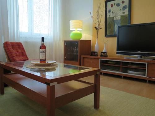 TV in/ali zabaviščno središče v nastanitvi Apartmán Penzák